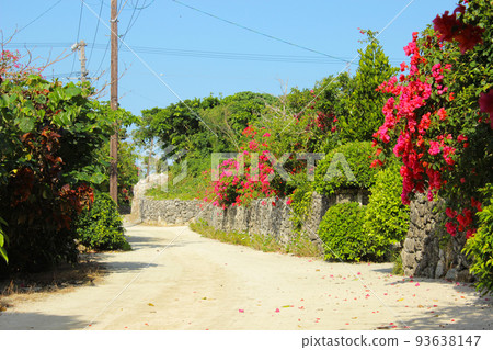 竹富島的城市景觀 竹富島的城市景觀 93638147