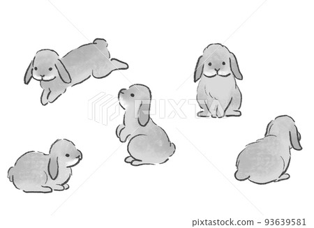 Cute illustrations of rabbits, collection of poses, drooping ears, lop ears Cute illustrations of rabbits, collection of poses, drooping ears, lop ears 93639581