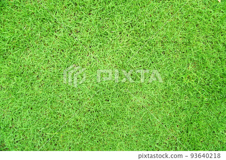 Green grass texture background Top view of bright grass garden Idea concept used for making green backdrop, lawn for training football pitch, Grass Golf Courses green lawn pattern textured background. 93640218