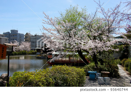 Kyoto Shinsen-en near Nijo Castle Kyoto Shinsen-en near Nijo Castle 93640744