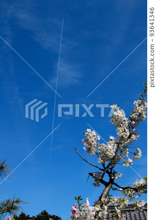 Shinsenen Contrail 京都二條城附近的軌跡 Shinsenen Contrail 京都二條城附近的軌跡 93641346