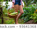 faceless farmer lady carries basket with organic harvest 93641368