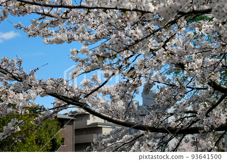 二條城附近的京都新泉園 93641500