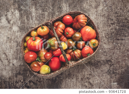 Autumn harvest - organic multicolored untreated tomatoes in a basket on a dark table, top view 93641728