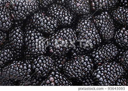 Blackberry background. Forest berries texture, full depth of field Blackberry background. Forest berries texture, full depth of field 93643093