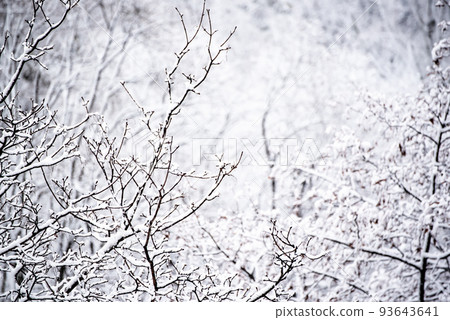 Under the snow 93643641