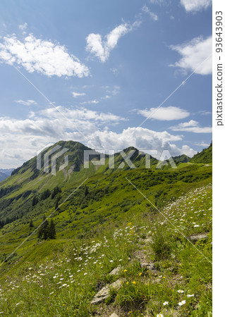 Typical alpine landscape in early summer near Damuls, Vorarlberg, Austria Typical alpine landscape in early summer near Damuls, Vorarlberg, Austria 93643903