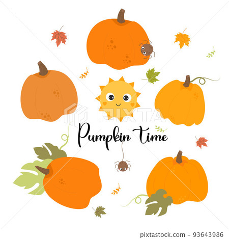 Collection of fall orange pumpkins, cute sun, spider insects and autumn leaves. Vector illustration with autumn harvest Pumpkin time. Isolated vegetables for print, design, postcards, decor, booklets. Collection of fall orange pumpkins, cute sun, spider insects and autumn leaves. Vector illustration with autumn harvest Pumpkin time. Isolated vegetables for print, design, postcards, decor, booklets. 93643986