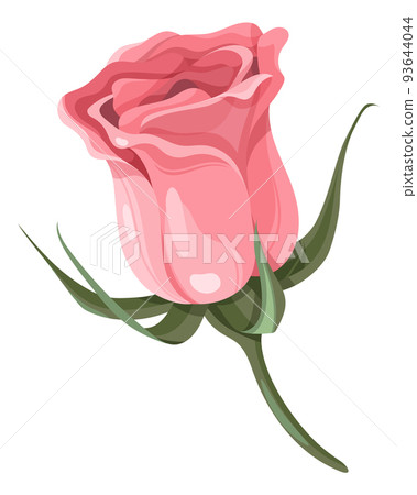 Garden rose bud. Romantic wedding bouquet flower Garden rose bud. Romantic wedding bouquet flower 93644044