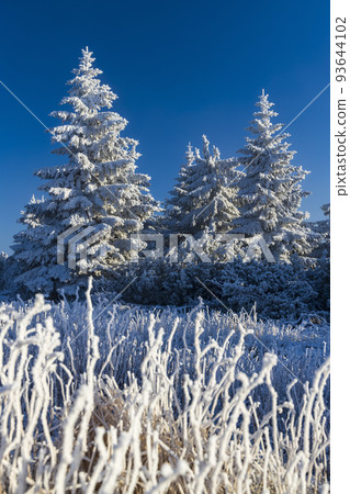 Winter landscape near Velka Destna, Orlicke mountains, Eastern Bohemia, Czech Republic Winter landscape near Velka Destna, Orlicke mountains, Eastern Bohemia, Czech Republic 93644102