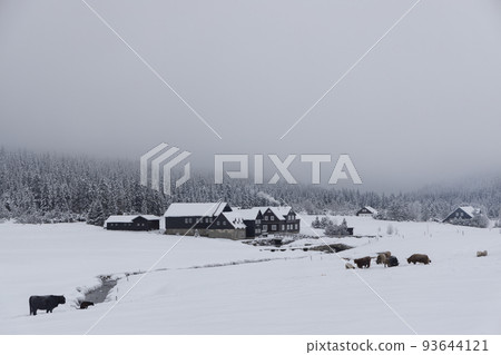 Jizerka settlemen, parts village Korenov, Liberec region, Northern Bohemia, Czech Republic 93644121