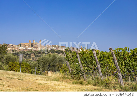 Tuscany's most famous vineyards near town Montalcino in Italy 93644148