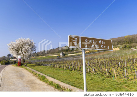 Wine road (Route des Grands Crus) near Beaune, Burgundy, France Wine road (Route des Grands Crus) near Beaune, Burgundy, France 93644410
