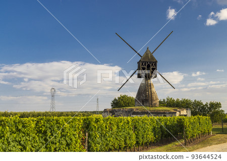 Windmill of La Tranchee and vineyard near Montsoreau, Pays de la Loire, France 93644524