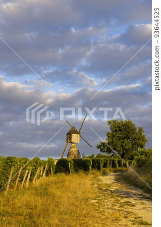 Windmill of La Tranchee and vineyard near Montsoreau, Pays de la Loire, France 93644525