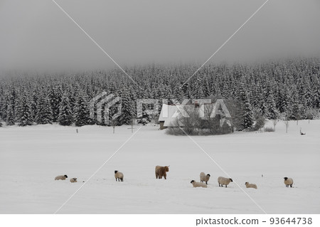 Jizerka settlemen, parts village Korenov, Liberec region, Northern Bohemia, Czech Republic 93644738