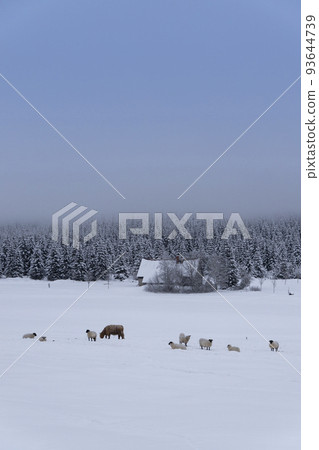 Jizerka settlemen, parts village Korenov, Liberec region, Northern Bohemia, Czech Republic 93644739
