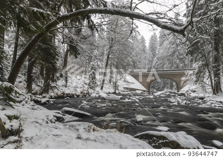 Divoka Orlice river in Zemska brana, Orlicke mountains, Eastern Bohemia, Czech Republic 93644747