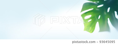 Banner. The shadow of tropical monstera leaves on a fabric background. With a space to copy. A template for your product. High quality photo Banner. The shadow of tropical monstera leaves on a fabric background. With a space to copy. A template for your product. High quality photo 93645095