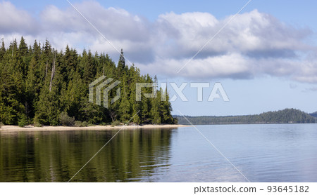 Canadian Nature Landscape with trees and mountains. Canadian Nature Landscape with trees and mountains. 93645182