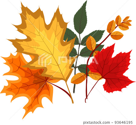 Autumn Falling Leaves 93646195