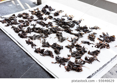 Manufacturing process of very delicious umeboshi in Japan Manufacturing process of very delicious umeboshi in Japan 93646629