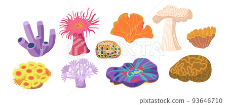 Set of Underwater Vegetation, Seaweeds, Plant Leaves, Isolated Marine Or Aquarium Grass. Ocean And Undersea Life 93646710