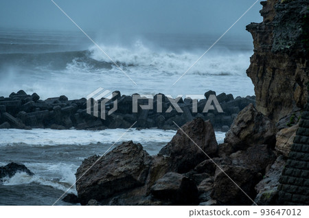 Typhoon swell at Shonan Shichirigahama and Cape Kodo 93647012
