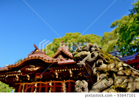 代代木八幡宮初秋風光 93647101