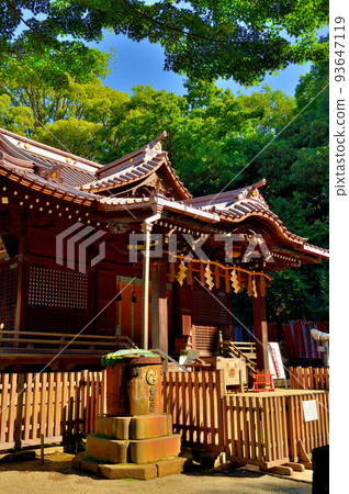 Yoyogi Hachimangu shrine early autumn scenery Yoyogi Hachimangu shrine early autumn scenery 93647119