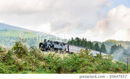 Steam locomotive C11 series No. 325 Steam locomotive C11 series No. 325 93647857
