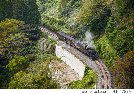 Steam locomotive C11 series No. 325 Steam locomotive C11 series No. 325 93647859