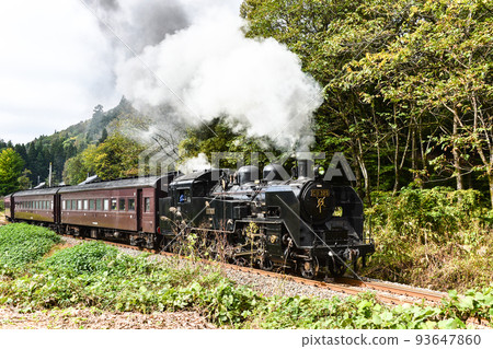 Steam locomotive C11 series No. 325 Steam locomotive C11 series No. 325 93647860