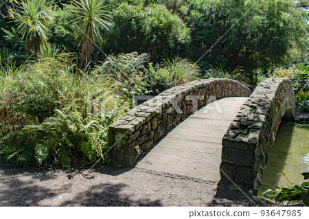 [Christchurch] Hagley Park Bridge 93647985