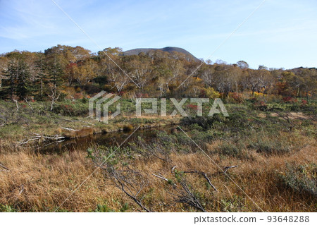 Marshland of Shinsennuma_Hokkaido Marshland of Shinsennuma_Hokkaido 93648288
