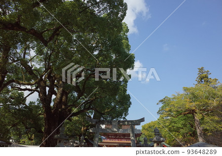 鳥居門和塔門_太宰府天滿宮 鳥居門和塔門_太宰府天滿宮 93648289