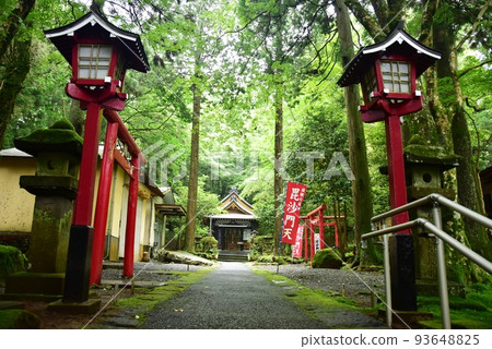Hakone Town Komagata Shrine approach, main building and fresh greenery 93648825