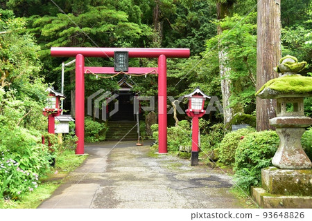 Hakone Town Komagata Shrine torii, approach and fresh greenery 93648826