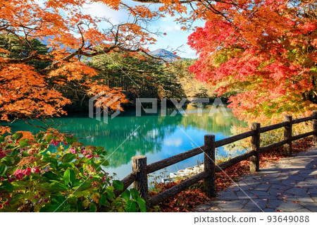 五色沼鮮紅的紅葉（福島縣浦盤台毗沙門沼，10月下旬） 93649088
