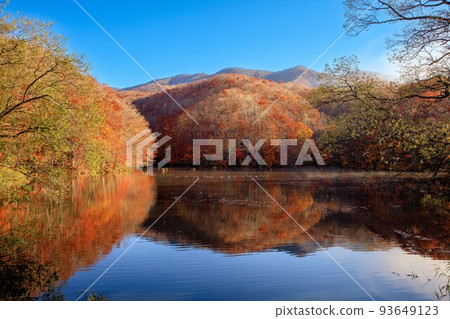 紅葉之巔——萬里澤沼（福島縣浦盤台，11月上旬） 93649123
