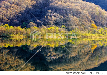 Lake Akimoto in early May with beautiful fresh greenery (Urabandai, Fukushima Prefecture) Lake Akimoto in early May with beautiful fresh greenery (Urabandai, Fukushima Prefecture) 93649139