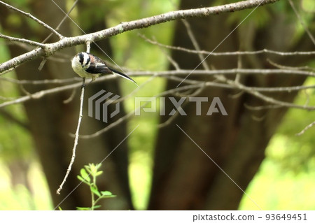 Enaka Enaka 93649451