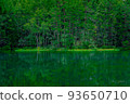 Clean pond 93650710