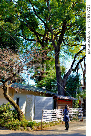 Yoyogi Hachimangu Shrine Winter worshipers Yoyogi Hachimangu Shrine Winter worshipers 93650723