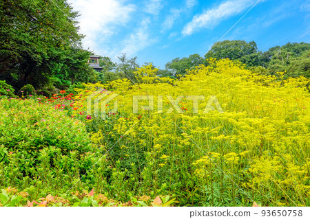 Autumn Numata Castle Park 93650758