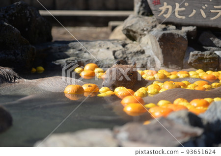 Izu capybara hot spring 93651624