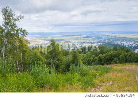 Rural Russian landscape with Belokurikha town on a background 93654194