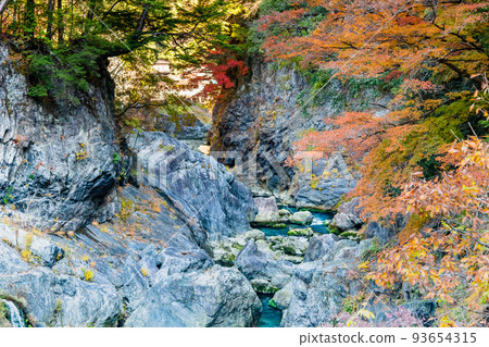東京奧多摩町 鳩之栖山谷染上了秋天的色彩~從鳩之棲小橋眺望~ 東京奧多摩町 鳩之栖山谷染上了秋天的色彩~從鳩之棲小橋眺望~ 93654315