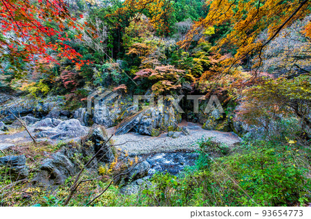 Okutama-cho, Tokyo Hatonosu Valley dyed in autumn colors ~ View from Hatonosu Kobashi ~ 93654773