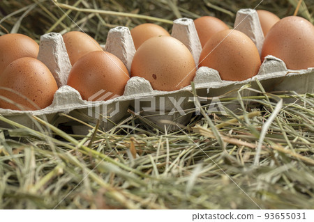 Chicken eggs in a tray and in hay. Chicken eggs in a tray and in hay. 93655031